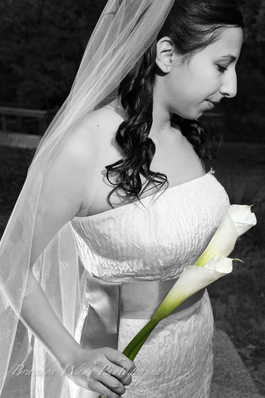 bridal1.jpg